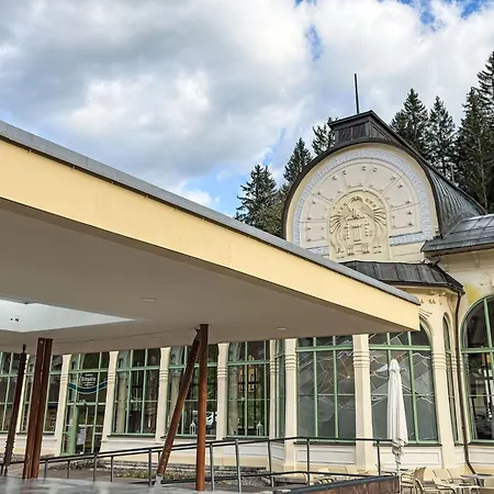 Jansky Potok I-4 By Interhome * Janské Lázně